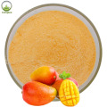 Wholesale 100% Pure Powder Mango Powder Price